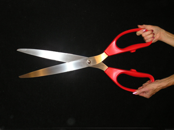 Ceremonial Scissors